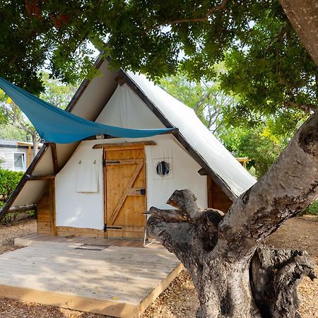Camping L'Orangeraie Calig Bagian luar foto